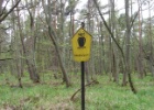 Duitsland Elly (9)